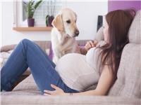 怀男怀女是由谁决定？如何怀女儿的概率高？