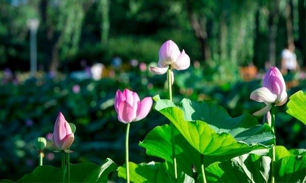 婚煞怎么破解 教你化解驳婚煞获得幸福的婚姻
